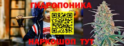 эйфоретик Аргун