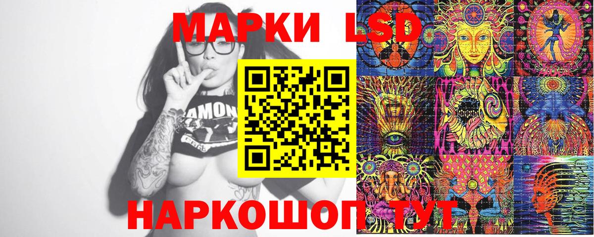 Бошки Шишки Берёзовский