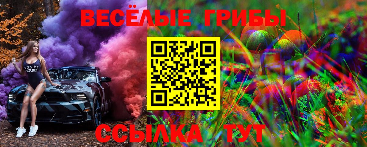 Берёзовский  Псилоцибиновые грибы Magic Shrooms  Вход с VPN 
