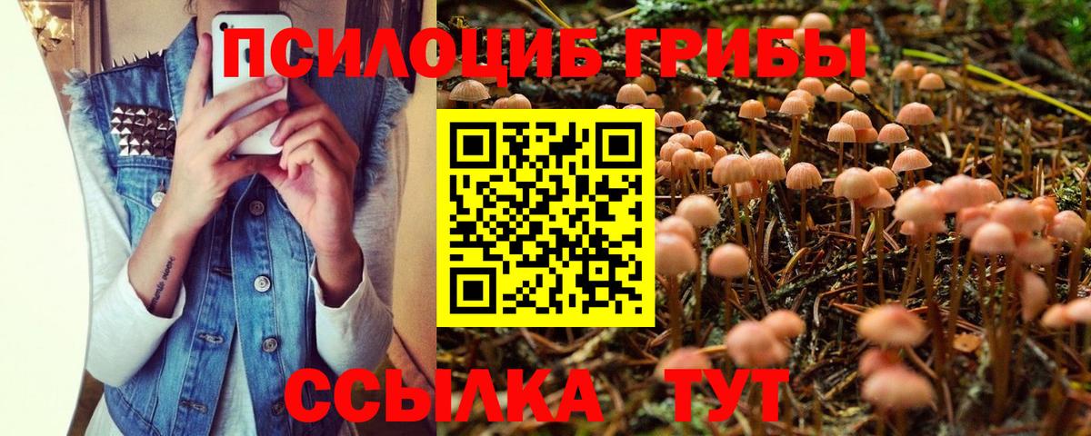 Галлюциногенные грибы MAGIC MUSHROOMS  Берёзовский  Галлюциногенные грибы GOLDEN TEACHER 